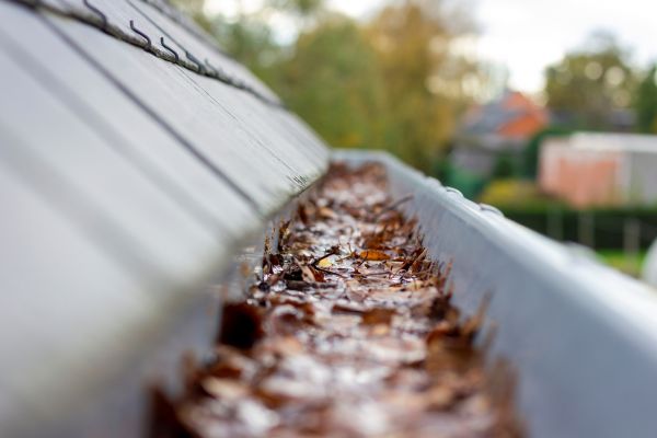 Commercial Gutter Cleaning in Ramona