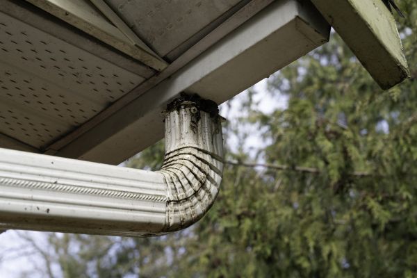 Downspout Cleaning in Ramona