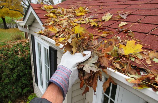 Rain Gutter Cleaning Service in Ramona