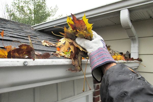 Leaf Gutter Cleaning in Ramona