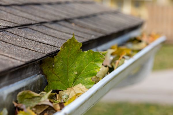 Cost of Gutter System Cleaning in Ramona