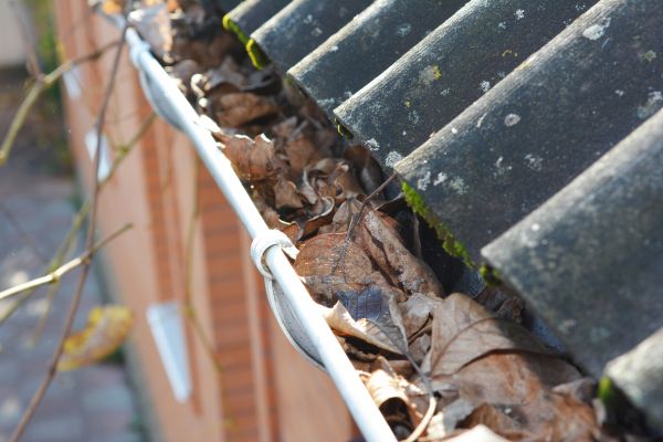 Cost of Home Gutter Cleaning in Ramona