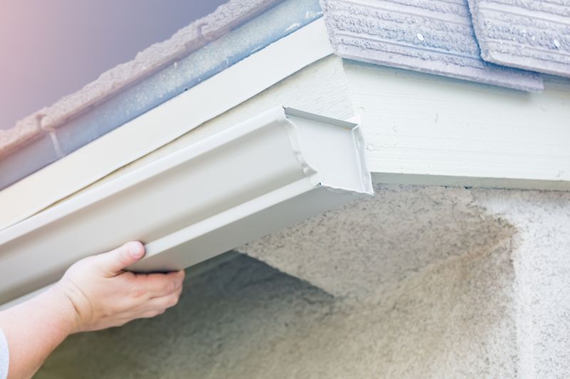 Gutter Maintenance detail