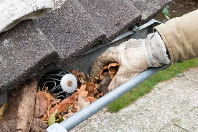 Roof Gutter Debris Removal