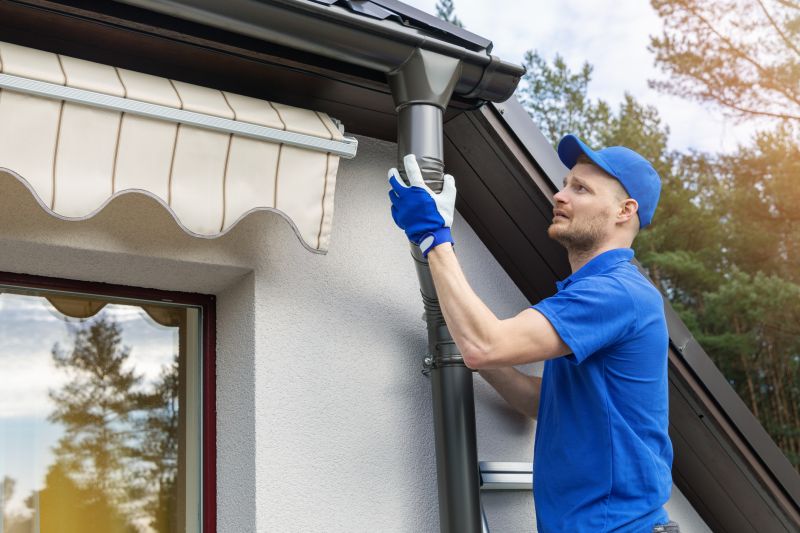 Local Gutter Cleaning Experts